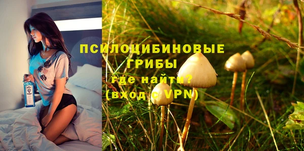 Альфа ПВП Богородск