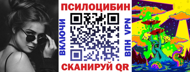 Галлюциногенные грибы Psilocybine cubensis  где купить наркотик  hydra зеркало  Междуреченск 